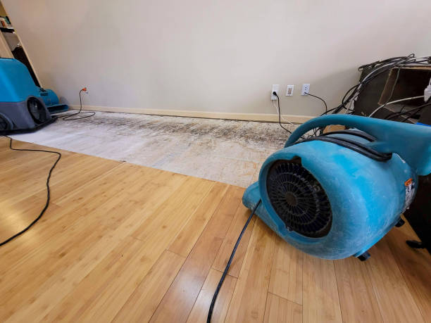 Professional Water Removal technician working in Georgetown, SC